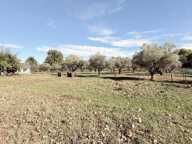 À vendre  Domaine de caractère à Vidauban (Var) — photo 3