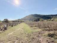 À vendre  Domaine de caractère à Vidauban (Var) — photo 4