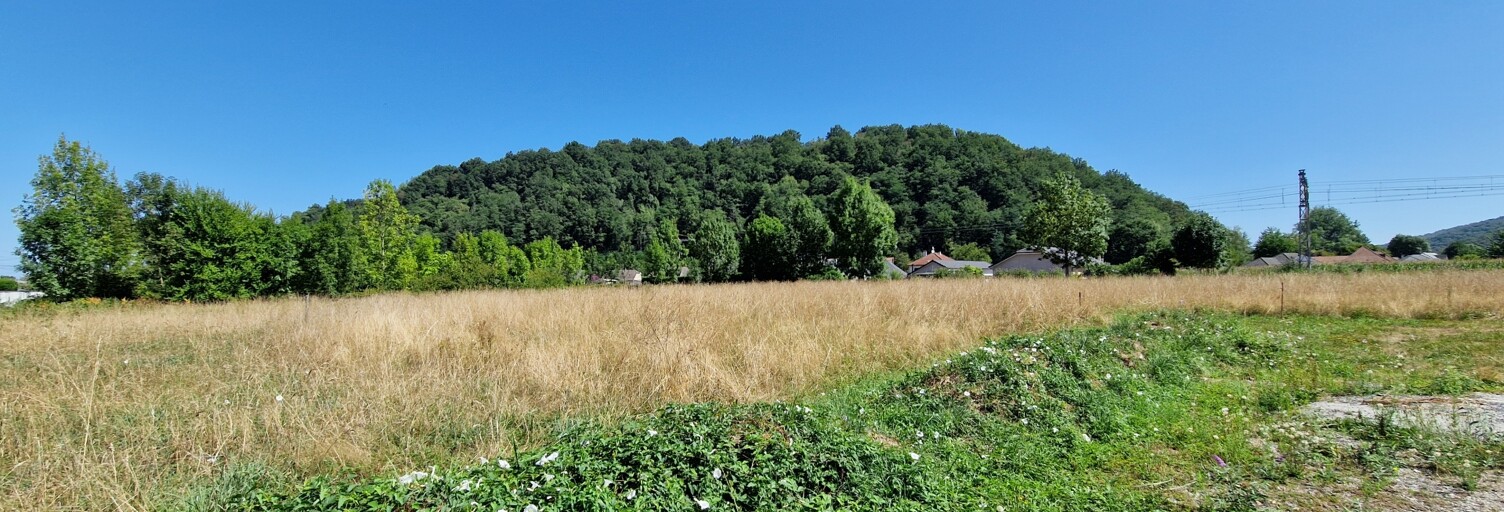Photo N° 2
