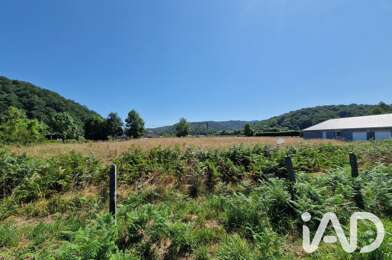 Terrain  37000 €