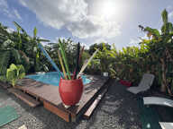 VILLA T4 AVE PISCINE LA JAILLE — photo 2