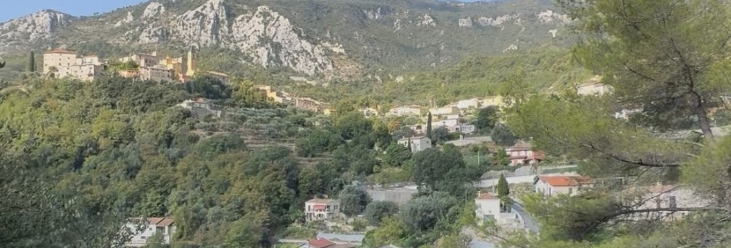 Terrain  2840 m² à vendre à Gorbio (06500)