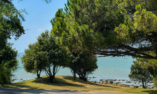 Maison 9 Pièces 240 m² à vendre à Saint-Palais-sur-Mer (17420)