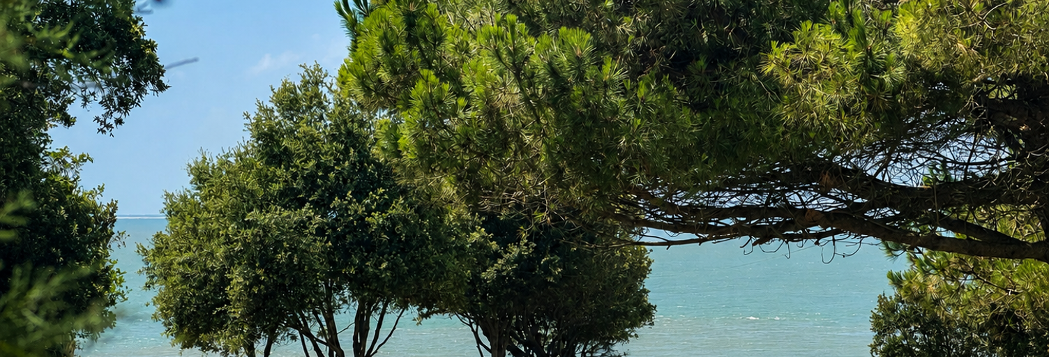 Maison 9 Pièces 240 m² à vendre à Saint-Palais-sur-Mer (17420)