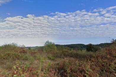 Terrain  40000 €