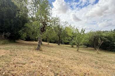 Terrain  160000 €
