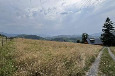 Terrain  50000 €