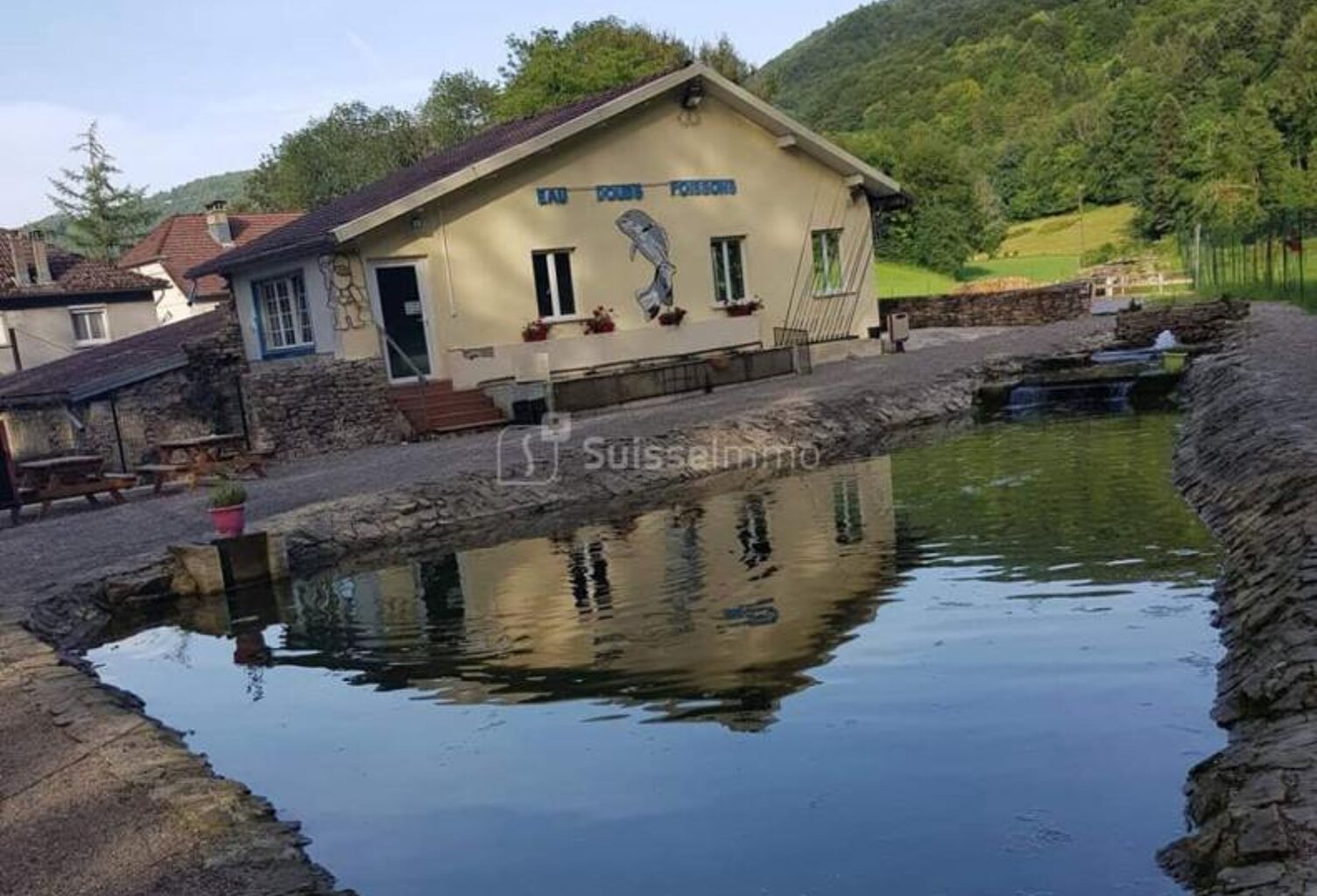 PISCICULTURE - MURS ET FOND DE COMMERCE - 1.081 Hectare — photo 1