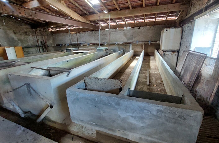 PISCICULTURE - MURS ET FOND DE COMMERCE - 1.081 Hectare — photo 3