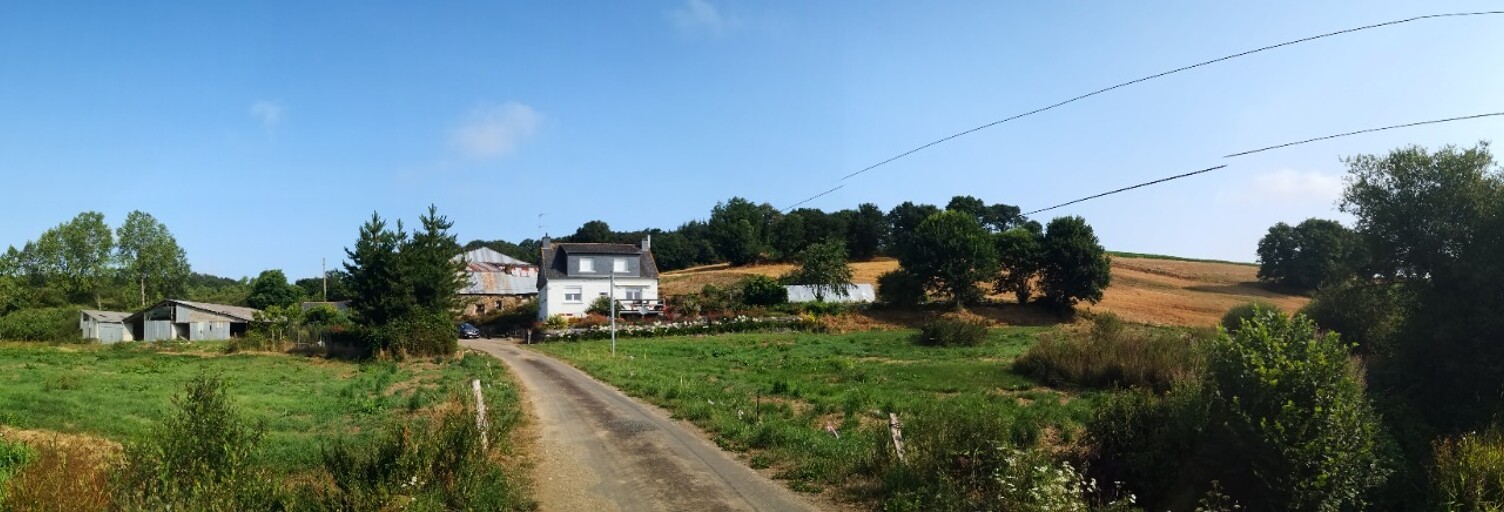 Photo N° 2