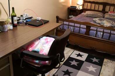 Appartement 1 pièces 500 €