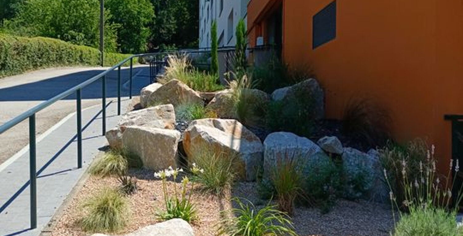 Studio de 28m2 à louer sur Saint-Étienne — photo 1