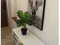 Appartement de 30m2 à louer sur La Flèche — photo 4