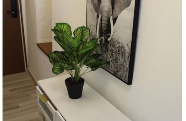 Appartement de 30m2 à louer sur La Flèche — photo 4
