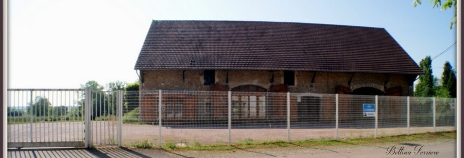 Photo N° 2