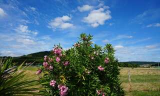 Photo N° 2