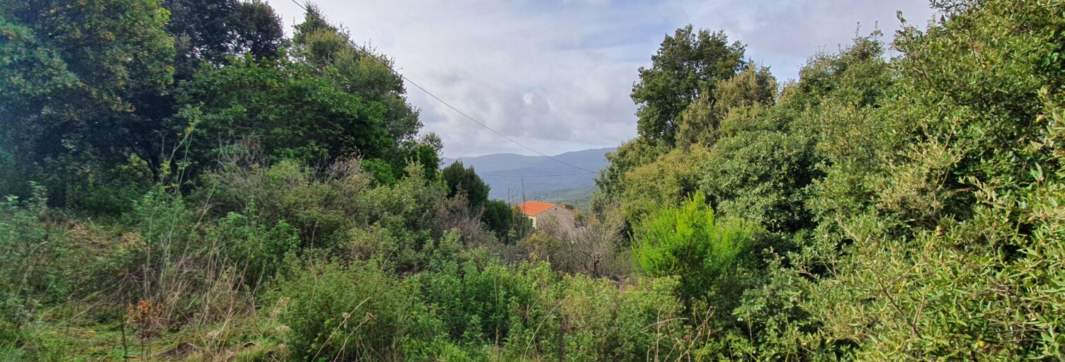 Terrain  1000 m² à vendre à Petreto-Bicchisano (20140)