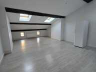À louer - Appartement 2 pièces rénové - Centre-Ville — photo 3