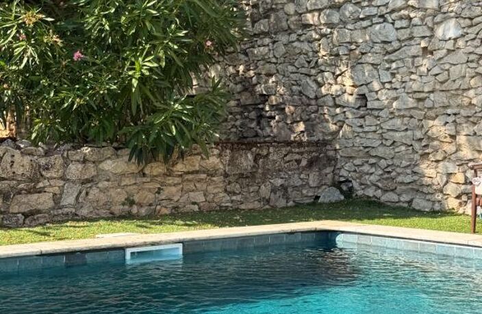 Maison 3 chambres, piscine, poolhouse — photo 4
