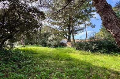 Terrain  230050 €