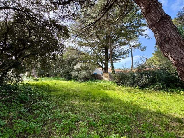Terrain à vendre — photo du bien