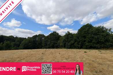 Terrain  56000 €