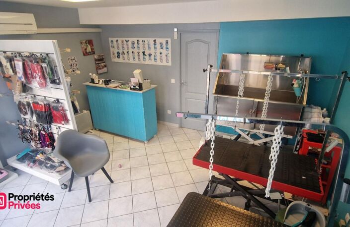 Immeuble de rapport - 90 m² - 4 pièces - local commercial et appartement T2 — photo 3