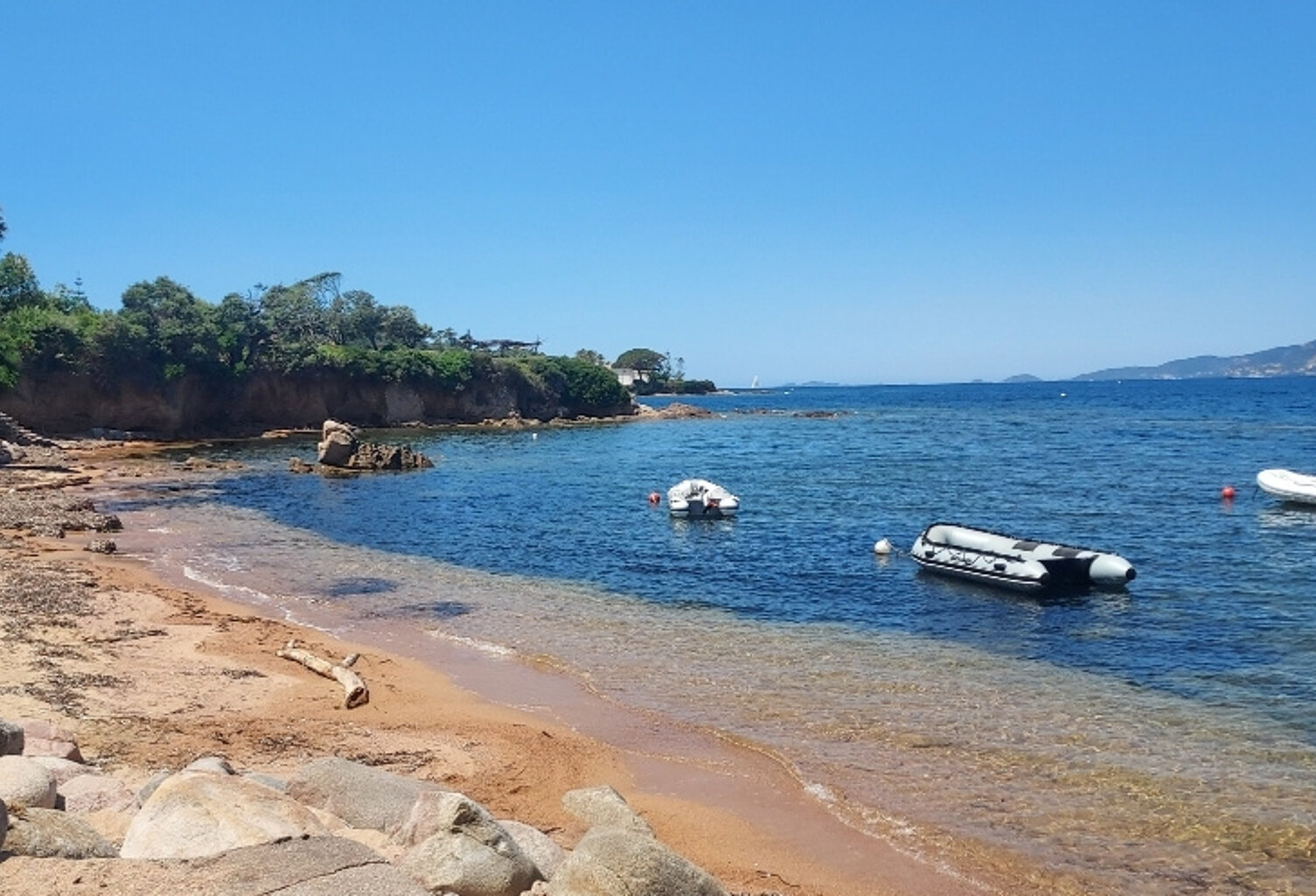 PORTICCIO F3 à 50m de la mer — photo 1