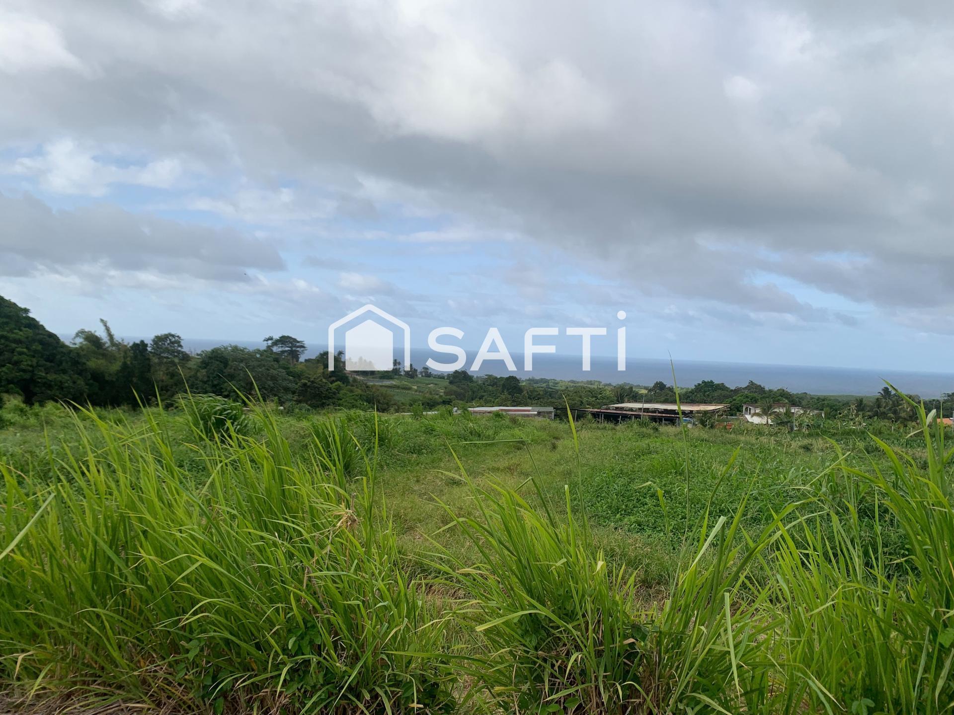 Agence immobilière de SAFTI