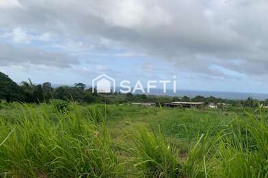 Terrain  490000 €