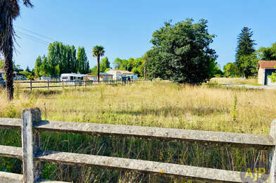 Terrain  55000 €