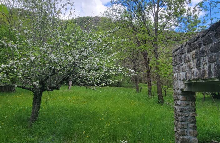 Vente Maison de campagne 9 pièces — photo 2