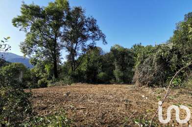 Terrain  65000 €