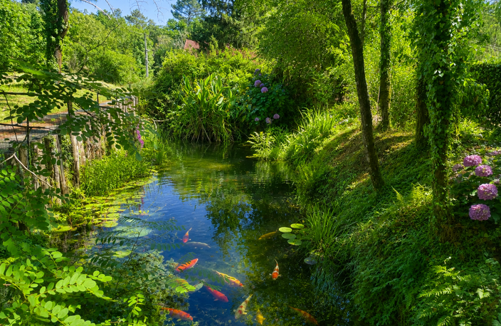 Longère en pierre avec gîtes, dépendances et près de 2 hect — photo 4
