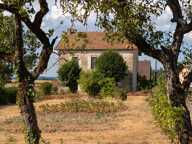 Maison ancienne de caractère avec dépendances et vue dégagée — photo 2