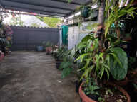 À VENDRE : Charmante maison de plain-pied F3 à Saint-Benoît — photo 3