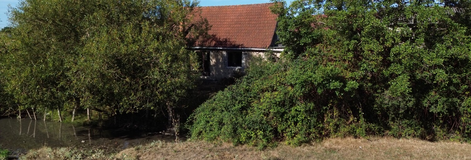 Photo N° 2