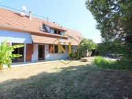 Maison à vendre Grussenheim — photo 4