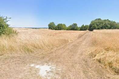 Terrain  60000 €