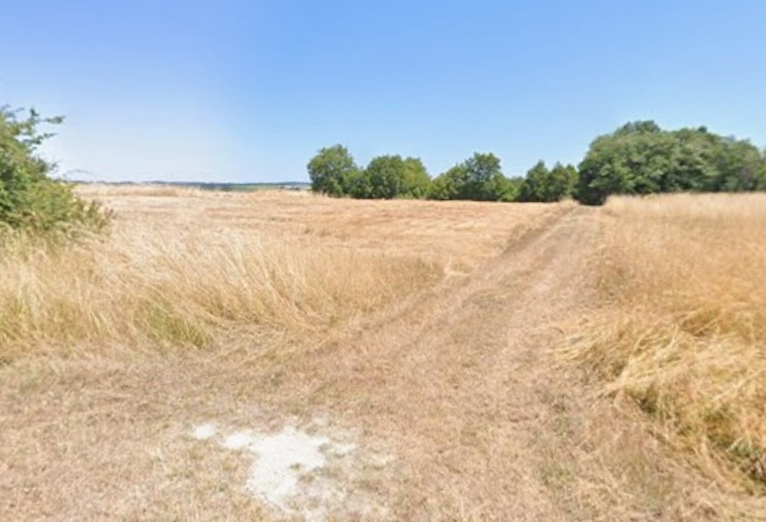 Terrain à bâtir à Laruscade (33620) — photo 1