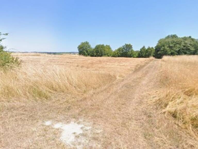 Terrain à bâtir à Laruscade (33620) — photo 1