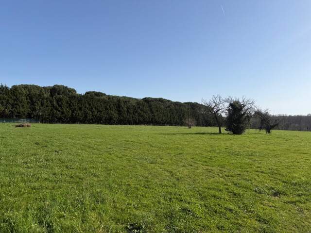 Terrain à bâtir à Salles (33770) — photo du bien