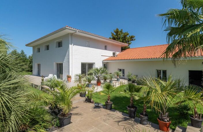 Maison À Vendre — photo 3