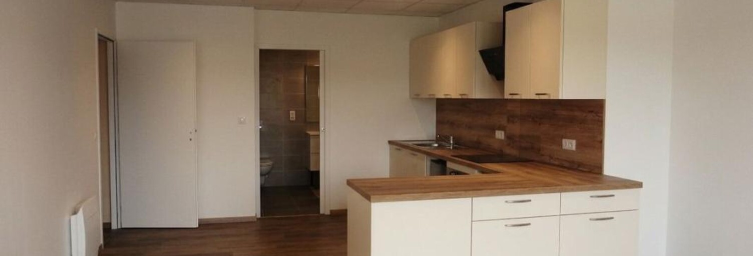 Appartement 1 Pièce 45 m² à louer à Cosne-Cours-sur-Loire (58200)