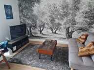 Appartement de 64m2 à louer sur Avignon — photo 2