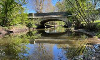 Photo N° 2