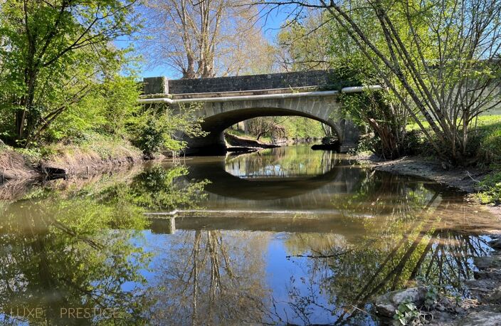 Orléans, Propriete à vendre, superbe Moulin rénové et bordé par la rivière, a l est d Orleans, parcelle de 4500 m² — photo 2