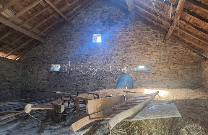 Grange + Maison entre campagne et ville - VENARSAL (19) — photo 4