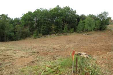 Terrain  36000 €