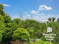Rare ! Propriété à Deshaies avec grand jardin et vue mer — photo 4
